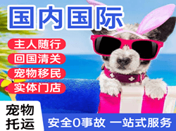 周水子空运公司国际宠物托运 【国